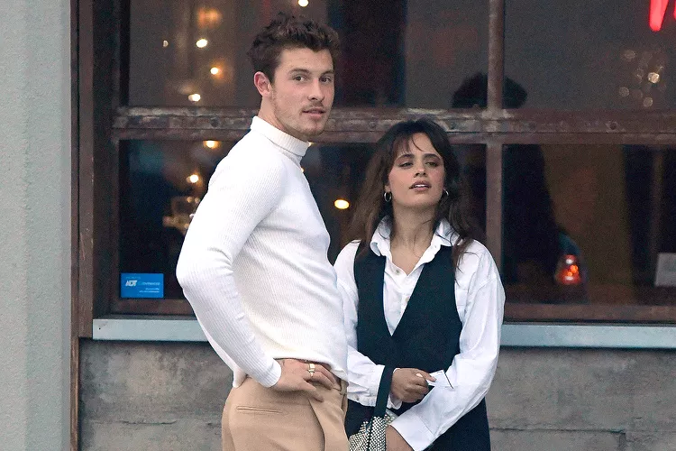 Shawn Mendes & Camila Cabello’s Relationship Gets “Very Physical”